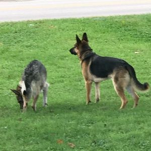 Meet your Posher, Jon